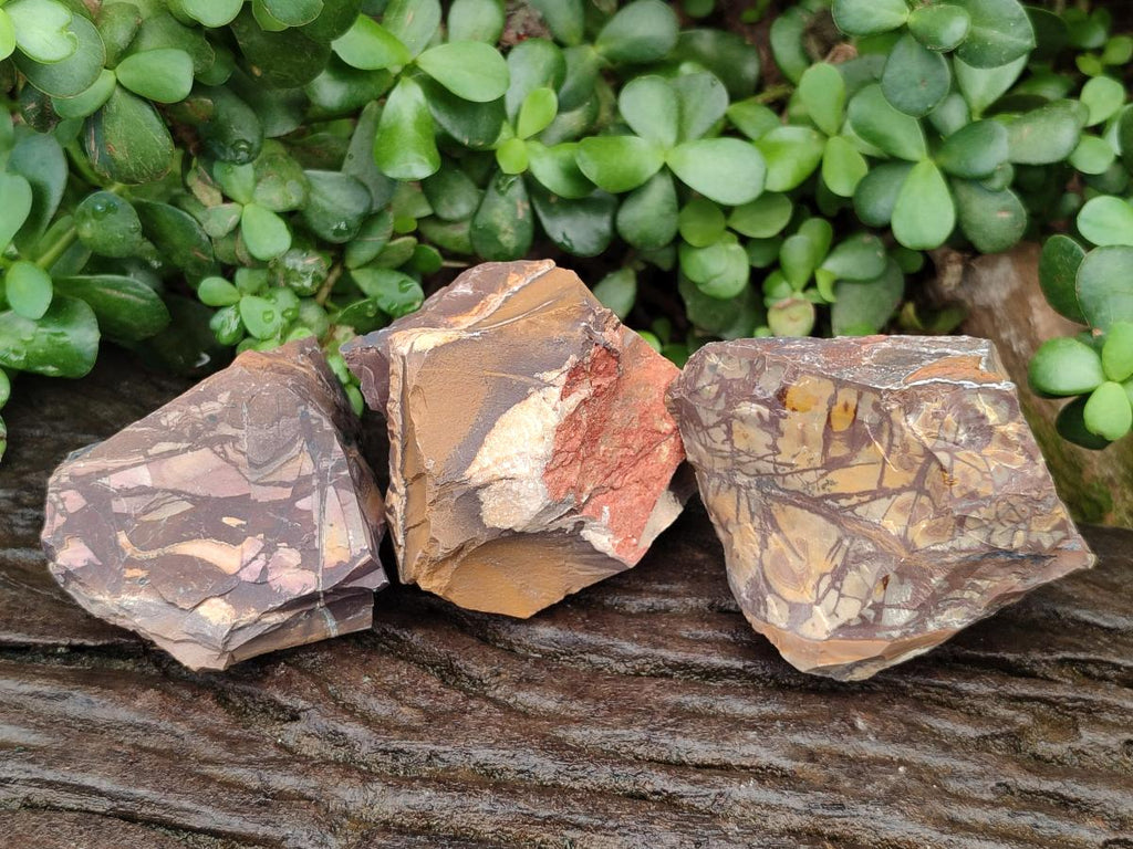 Natural Nguni Jasper Cobbed Specimens x 12 From Northern Cape, South Africa - Toprock Gemstones and Minerals 