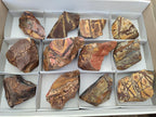 Natural Nguni Jasper Cobbed Specimens x 12 From Northern Cape, South Africa - Toprock Gemstones and Minerals 