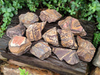 Natural Nguni Jasper Cobbed Specimens x 12 From Northern Cape, South Africa - Toprock Gemstones and Minerals 