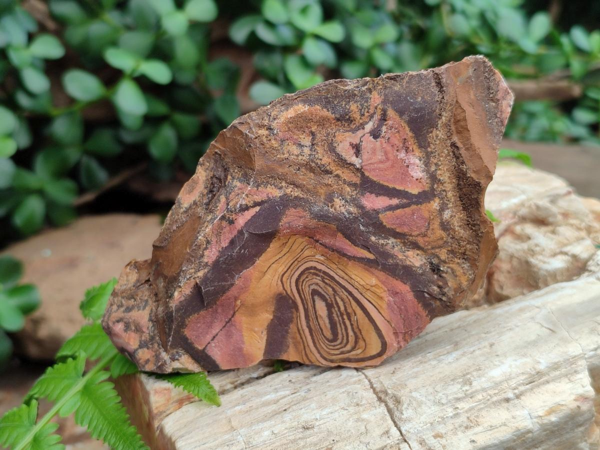 Natural Nguni Jasper Cobbed Specimens x 12 From Northern Cape, South Africa - Toprock Gemstones and Minerals 