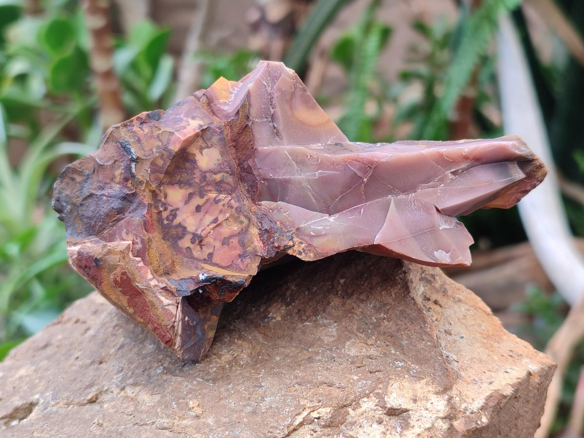 Natural Nguni Jasper Cobbed Specimens x 12 From Northern Cape, South Africa - Toprock Gemstones and Minerals 