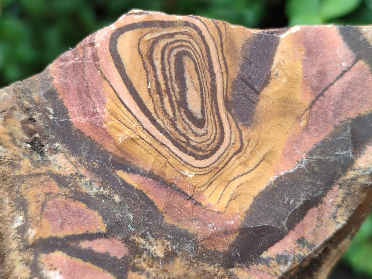 Natural Nguni Jasper Cobbed Specimens x 12 From Northern Cape, South Africa - Toprock Gemstones and Minerals 