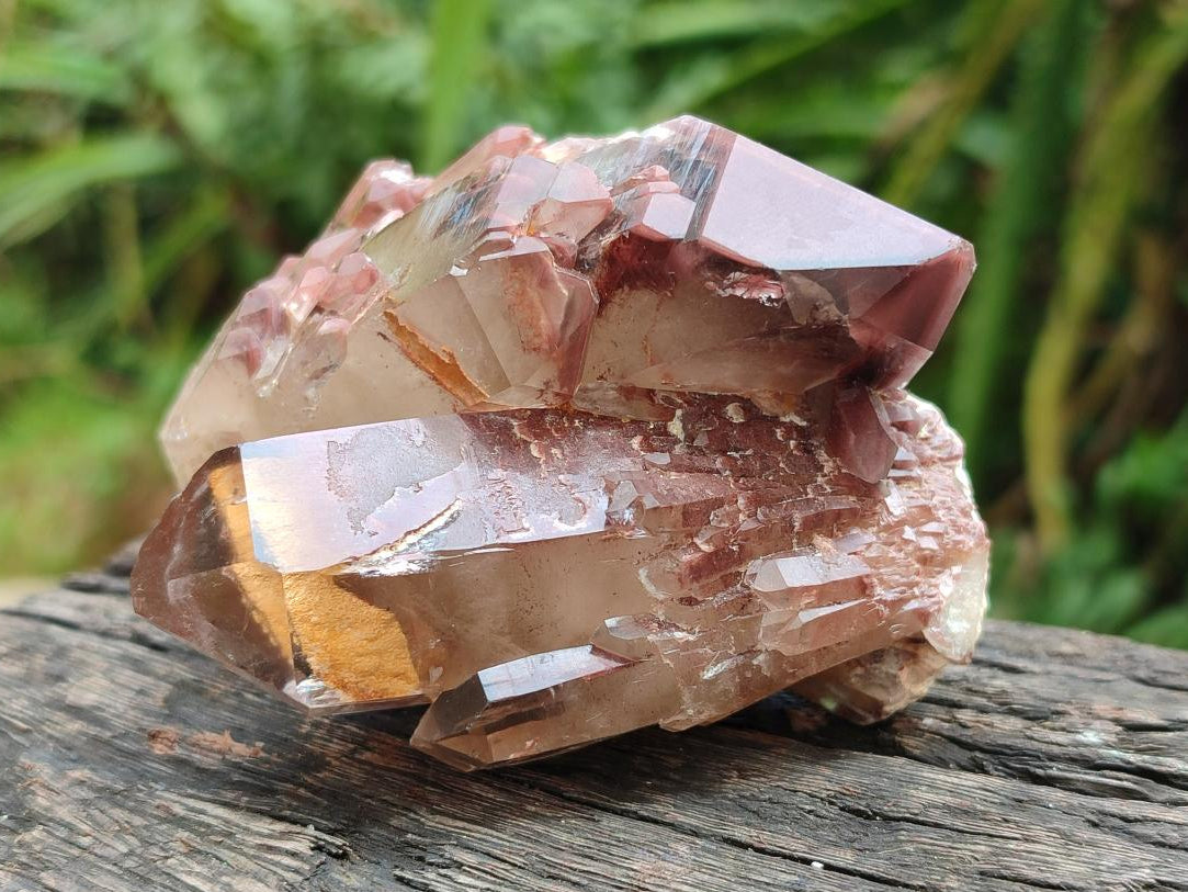 Natural Red Hematoid Quartz Crystals and Clusters x 12 From Karoi, Zimbabwe - Toprock Gemstones and Minerals 