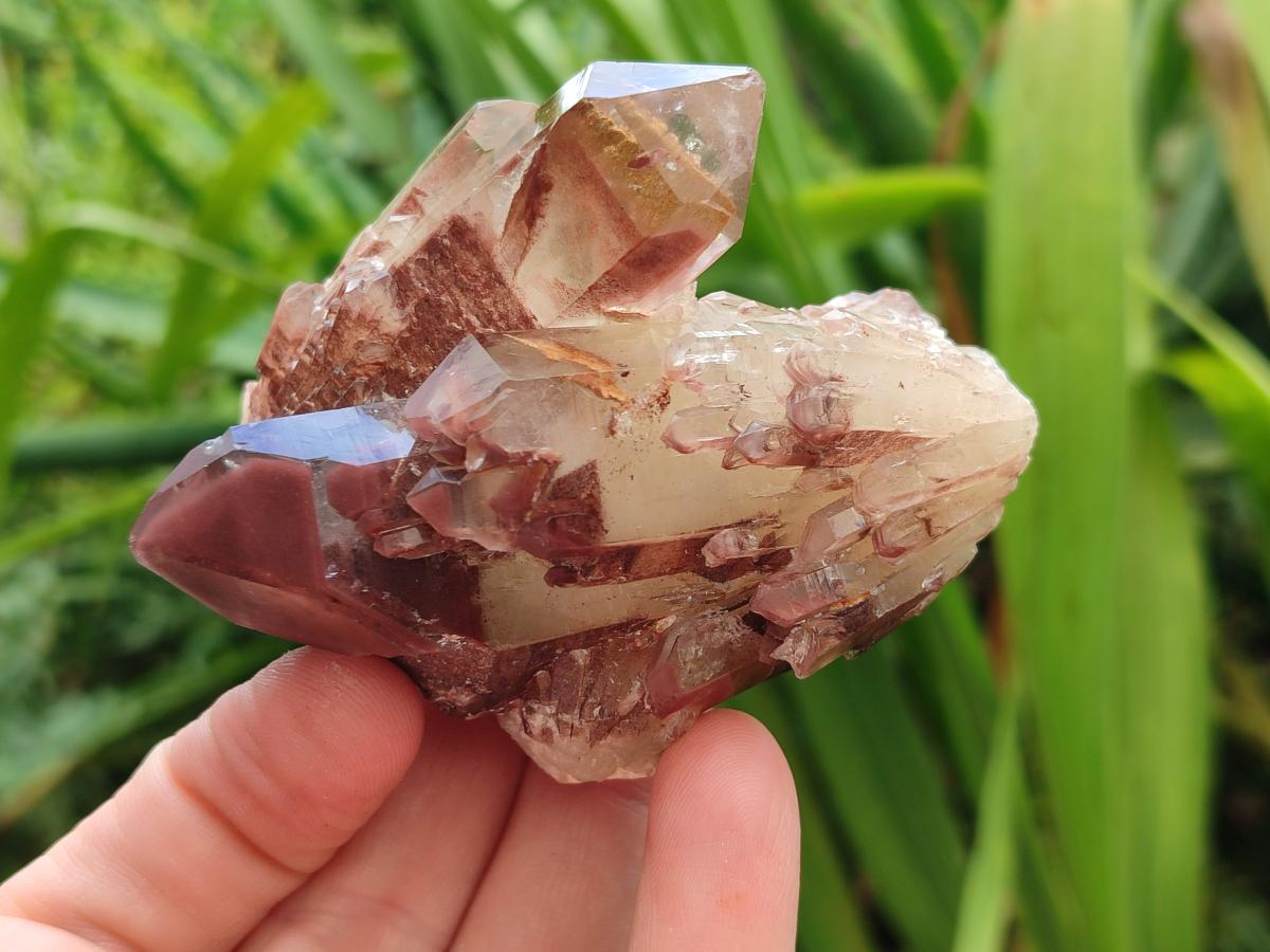 Natural Red Hematoid Quartz Crystals and Clusters x 12 From Karoi, Zimbabwe - Toprock Gemstones and Minerals 