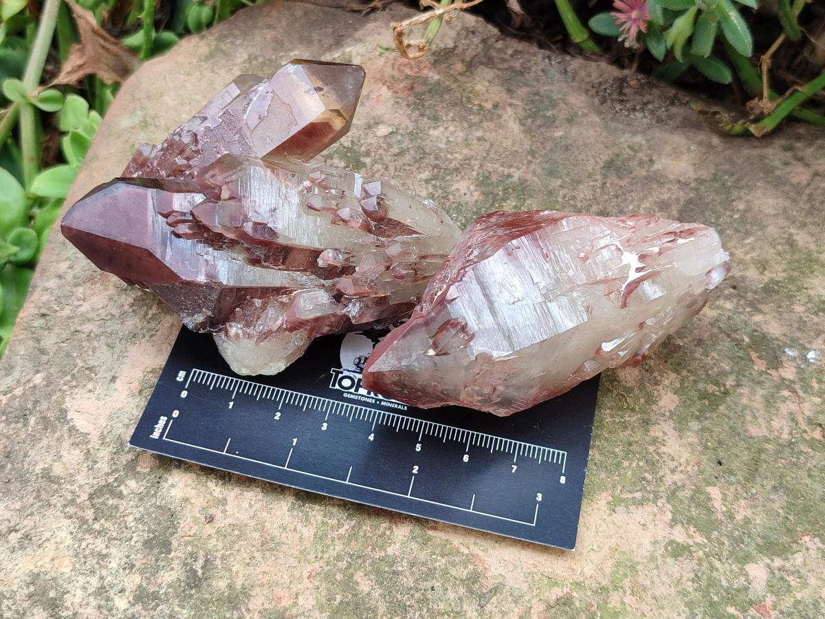 Natural Red Hematoid Quartz Crystals and Clusters x 12 From Karoi, Zimbabwe - Toprock Gemstones and Minerals 