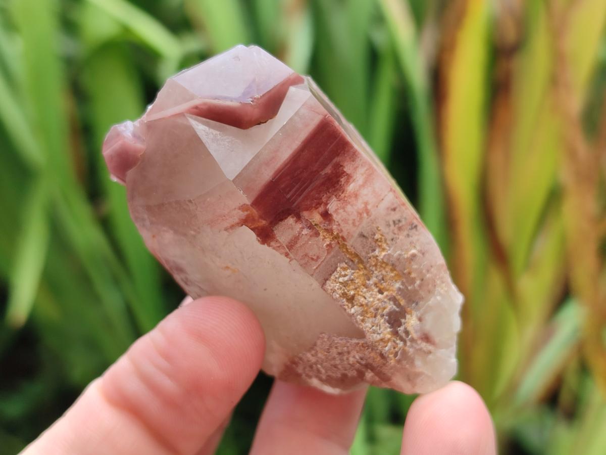 Natural Red Hematoid Quartz Crystals and Clusters x 12 From Karoi, Zimbabwe - Toprock Gemstones and Minerals 