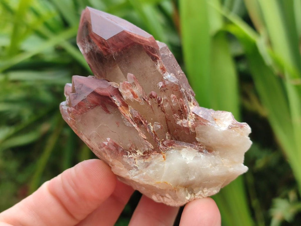 Natural Red Hematoid Quartz Crystals and Clusters x 12 From Karoi, Zimbabwe - Toprock Gemstones and Minerals 
