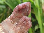 Natural Red Hematoid Quartz Crystals and Clusters x 12 From Karoi, Zimbabwe - Toprock Gemstones and Minerals 