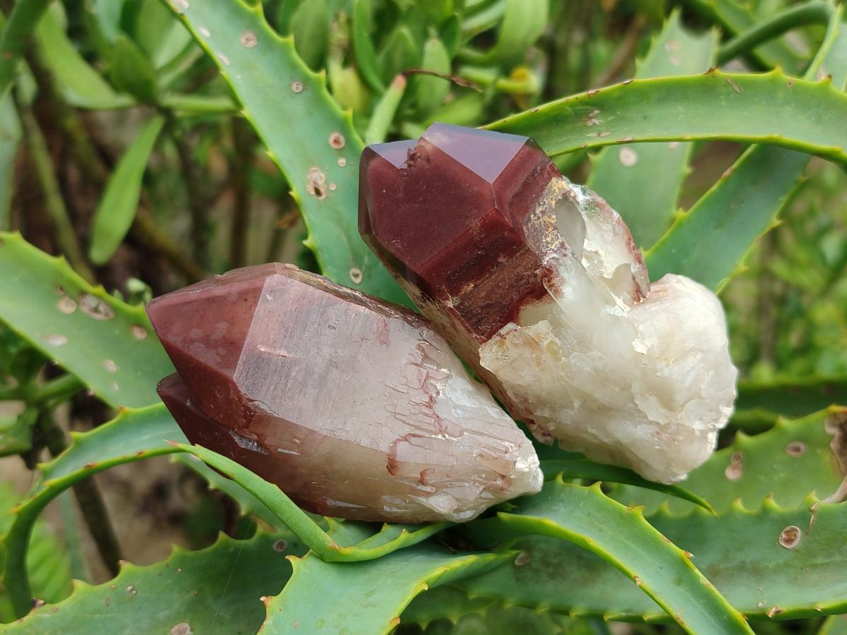 Natural Red Hematoid Quartz Crystals and Clusters x 12 From Karoi, Zimbabwe - Toprock Gemstones and Minerals 