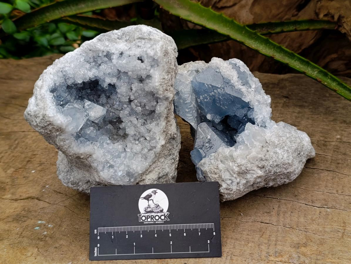 Natural Blue Celestite Geode Specimens x 2 From Sakoany, Madagascar - Toprock Gemstones and Minerals 