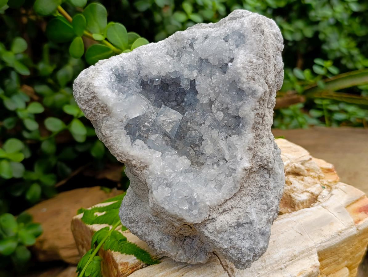 Natural Blue Celestite Geode Specimens x 2 From Sakoany, Madagascar - Toprock Gemstones and Minerals 