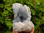 Natural Blue Celestite Geode Specimens x 2 From Sakoany, Madagascar - Toprock Gemstones and Minerals 