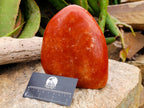 Polished Large Deep Orange Calcite Standing Free Form x 1 From Madagascar - Toprock Gemstones and Minerals 