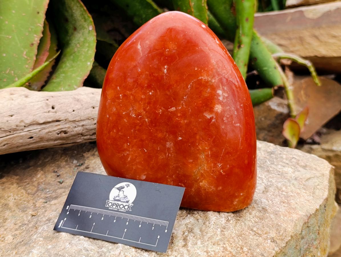 Polished Large Deep Orange Calcite Standing Free Form x 1 From Madagascar - Toprock Gemstones and Minerals 