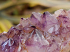 Natural Dark Purple Amethyst Quartz Crystal Plates x 12 From Boekenhouthoek, South Africa - Toprock Gemstones and Minerals 