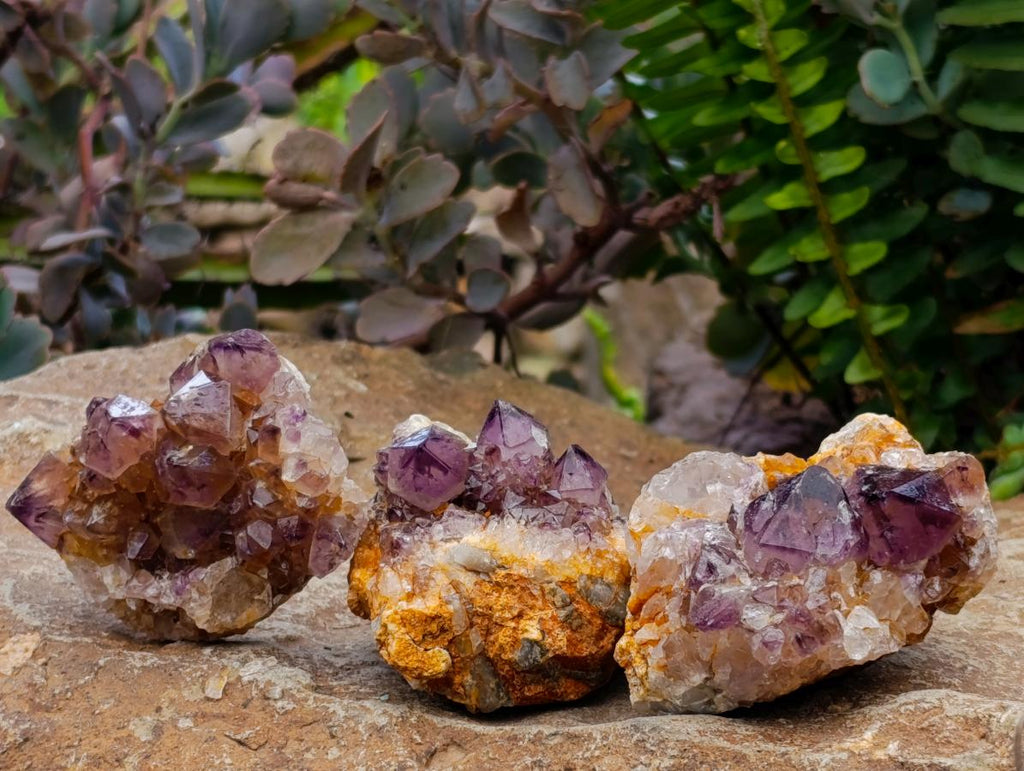 Natural Dark Purple Amethyst Quartz Crystal Plates x 12 From Boekenhouthoek, South Africa - Toprock Gemstones and Minerals 