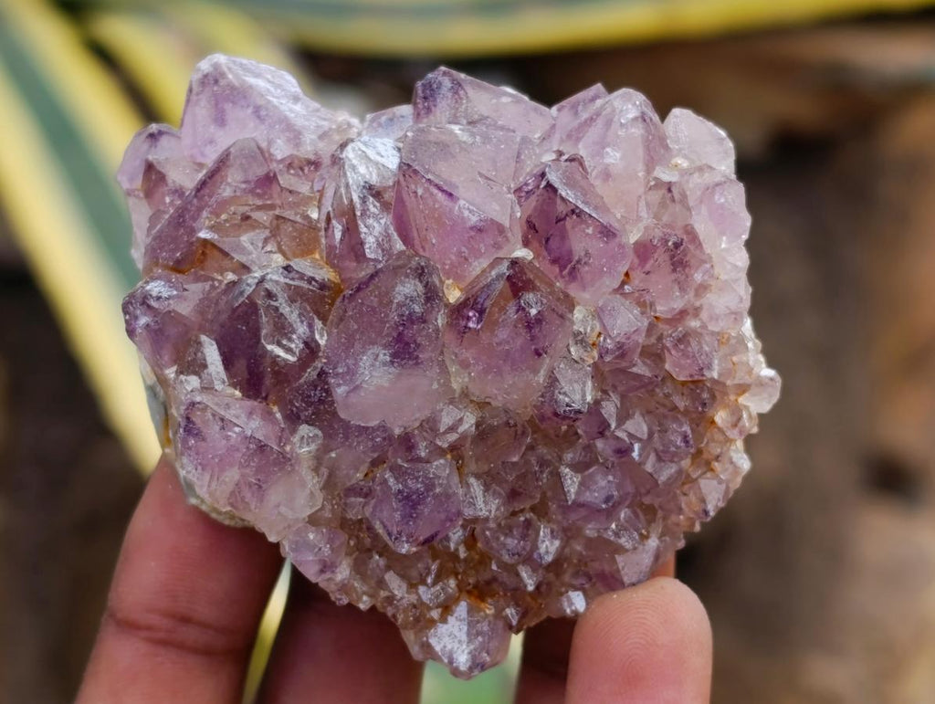 Natural Dark Purple Amethyst Quartz Crystal Plates x 12 From Boekenhouthoek, South Africa - Toprock Gemstones and Minerals 