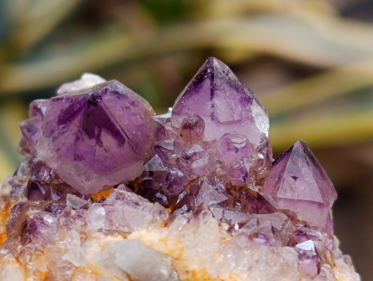 Natural Dark Purple Amethyst Quartz Crystal Plates x 12 From Boekenhouthoek, South Africa - Toprock Gemstones and Minerals 