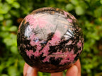 Polished Rhodonite Gemstone Spheres x 2 From Ambindavato, Madagascar - Toprock Gemstones and Minerals 