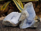 Natural Blue Lace Agate Clusters Specimens x 6 From Nsanje, Malawi - Toprock Gemstones and Minerals 