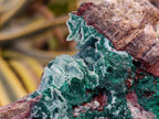 Natural Drusy Coated Chrysocolla After Azurite and Malachite Pseudomorphs x 4 From Lupoto Mine, Congo - Toprock Gemstones and Minerals 