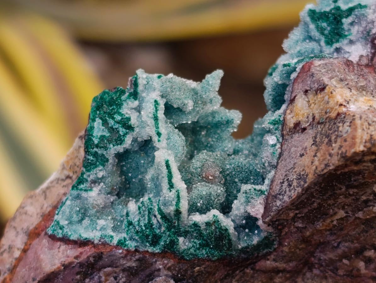 Natural Drusy Coated Chrysocolla After Azurite and Malachite Pseudomorphs x 4 From Lupoto Mine, Congo - Toprock Gemstones and Minerals 
