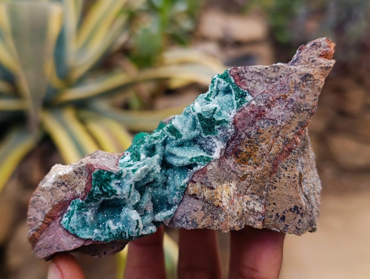 Natural Drusy Coated Chrysocolla After Azurite and Malachite Pseudomorphs x 4 From Lupoto Mine, Congo - Toprock Gemstones and Minerals 