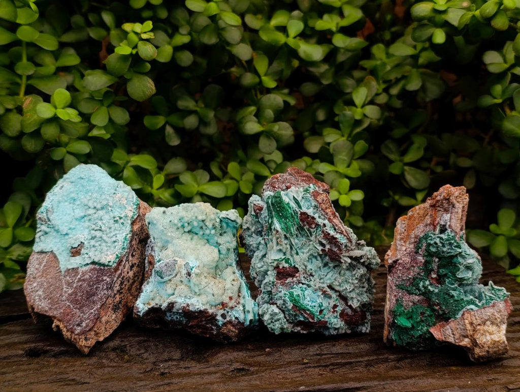 Natural Drusy Coated Chrysocolla After Azurite and Malachite Pseudomorphs x 4 From Lupoto Mine, Congo - Toprock Gemstones and Minerals 