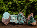 Natural Drusy Coated Chrysocolla After Azurite and Malachite Pseudomorphs x 4 From Lupoto Mine, Congo - Toprock Gemstones and Minerals 