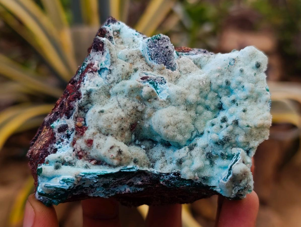 Natural Drusy Coated Chrysocolla After Azurite and Malachite Pseudomorphs x 4 From Lupoto Mine, Congo - Toprock Gemstones and Minerals 