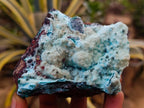 Natural Drusy Coated Chrysocolla After Azurite and Malachite Pseudomorphs x 4 From Lupoto Mine, Congo - Toprock Gemstones and Minerals 