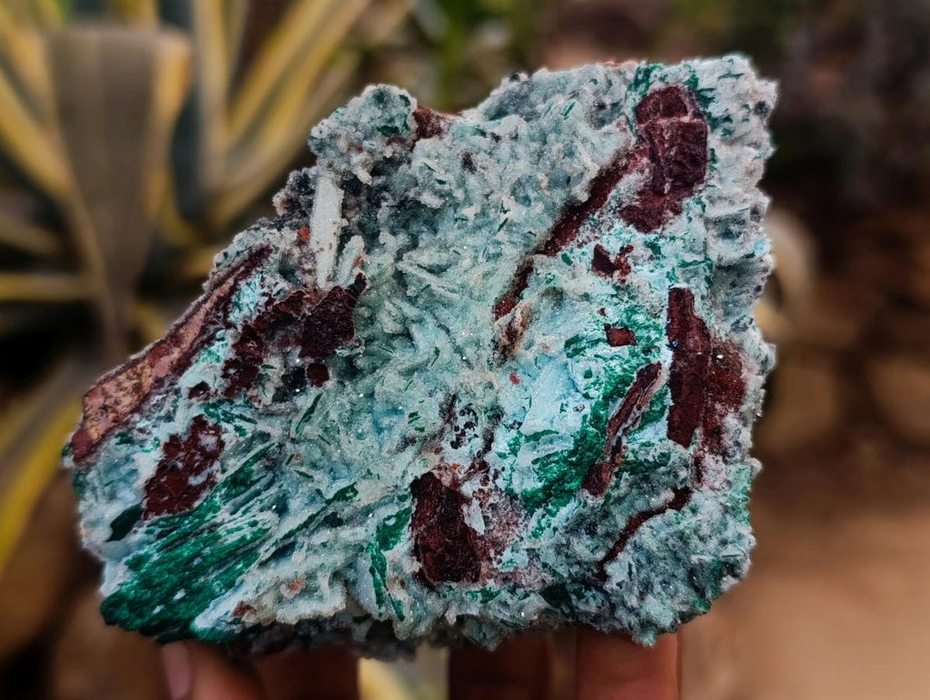 Natural Drusy Coated Chrysocolla After Azurite and Malachite Pseudomorphs x 4 From Lupoto Mine, Congo - Toprock Gemstones and Minerals 