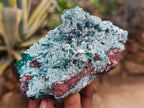 Natural Drusy Coated Chrysocolla After Azurite and Malachite Pseudomorphs x 4 From Lupoto Mine, Congo - Toprock Gemstones and Minerals 