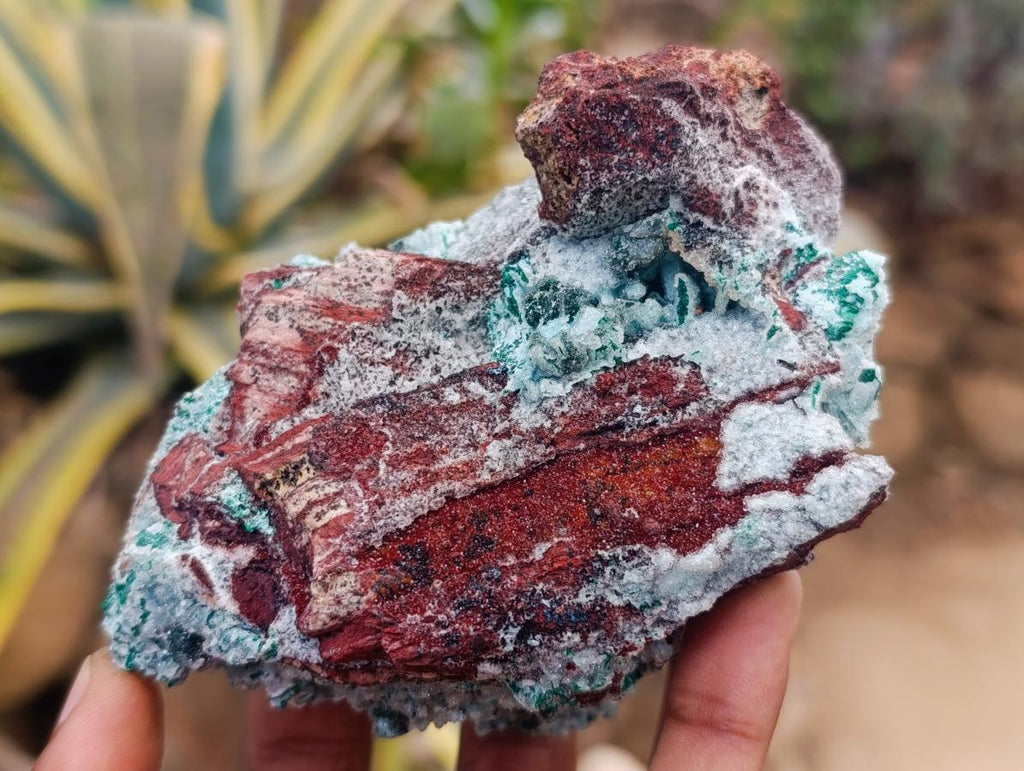 Natural Drusy Coated Chrysocolla After Azurite and Malachite Pseudomorphs x 4 From Lupoto Mine, Congo - Toprock Gemstones and Minerals 
