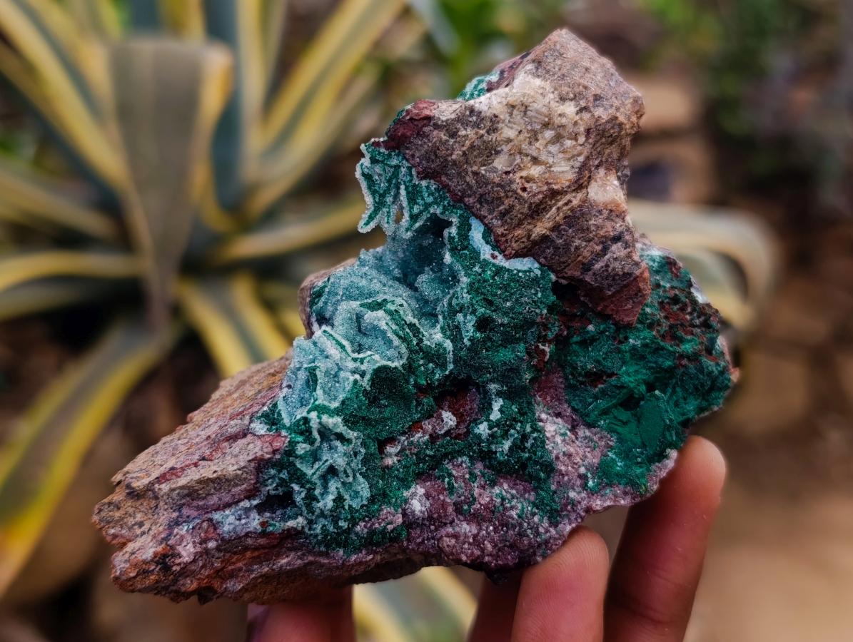 Natural Drusy Coated Chrysocolla After Azurite and Malachite Pseudomorphs x 4 From Lupoto Mine, Congo - Toprock Gemstones and Minerals 