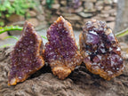 Natural Dark Purple Amethyst Quartz Crystal Plates x 12 From Boekenhouthoek, South Africa - Toprock Gemstones and Minerals 