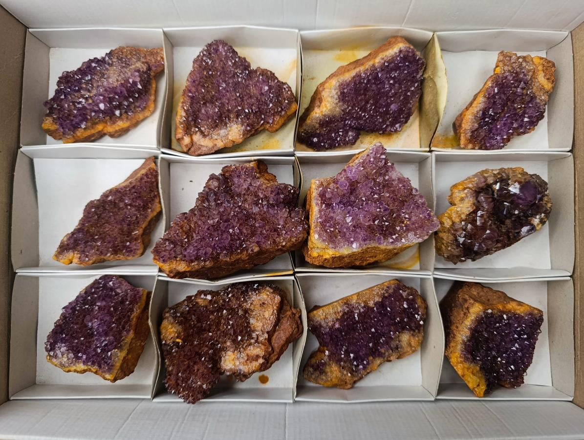 Natural Dark Purple Amethyst Quartz Crystal Plates x 12 From Boekenhouthoek, South Africa - Toprock Gemstones and Minerals 