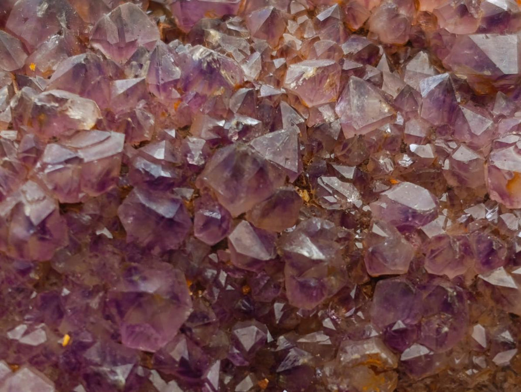 Natural Dark Purple Amethyst Quartz Crystal Plates x 12 From Boekenhouthoek, South Africa - Toprock Gemstones and Minerals 