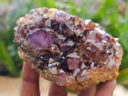 Natural Dark Purple Amethyst Quartz Crystal Plates x 12 From Boekenhouthoek, South Africa - Toprock Gemstones and Minerals 
