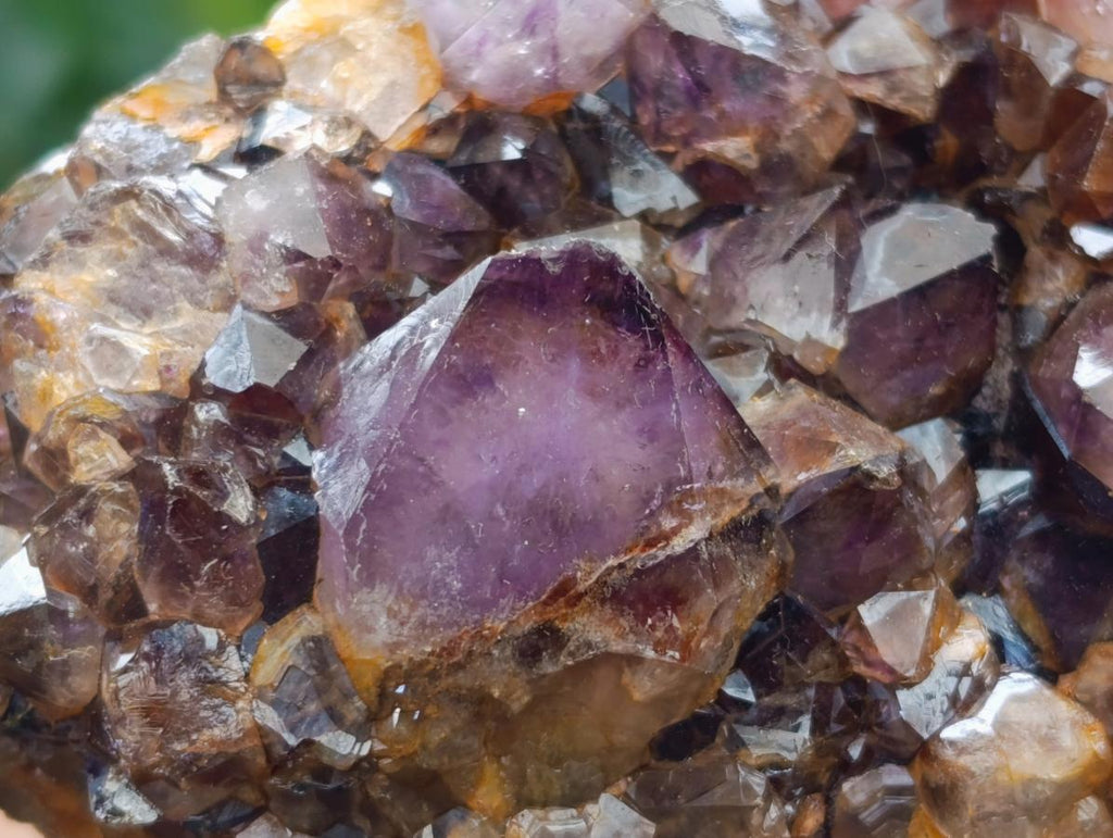 Natural Dark Purple Amethyst Quartz Crystal Plates x 12 From Boekenhouthoek, South Africa - Toprock Gemstones and Minerals 
