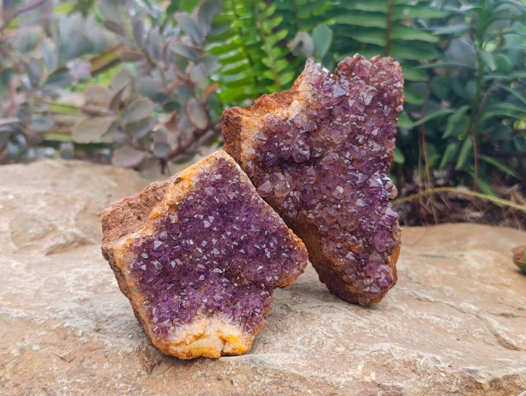 Natural Dark Purple Amethyst Quartz Crystal Plates x 12 From Boekenhouthoek, South Africa - Toprock Gemstones and Minerals 