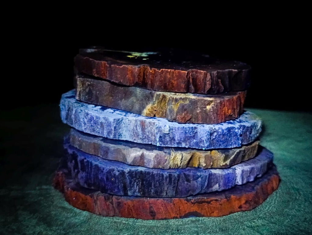 Polished Dadoxylon Petrified Wood Slices x 6 From Gokwe, Zimbabwe - Toprock Gemstones and Minerals 