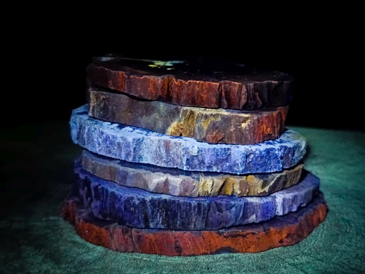 Polished Dadoxylon Petrified Wood Slices x 6 From Gokwe, Zimbabwe - Toprock Gemstones and Minerals 