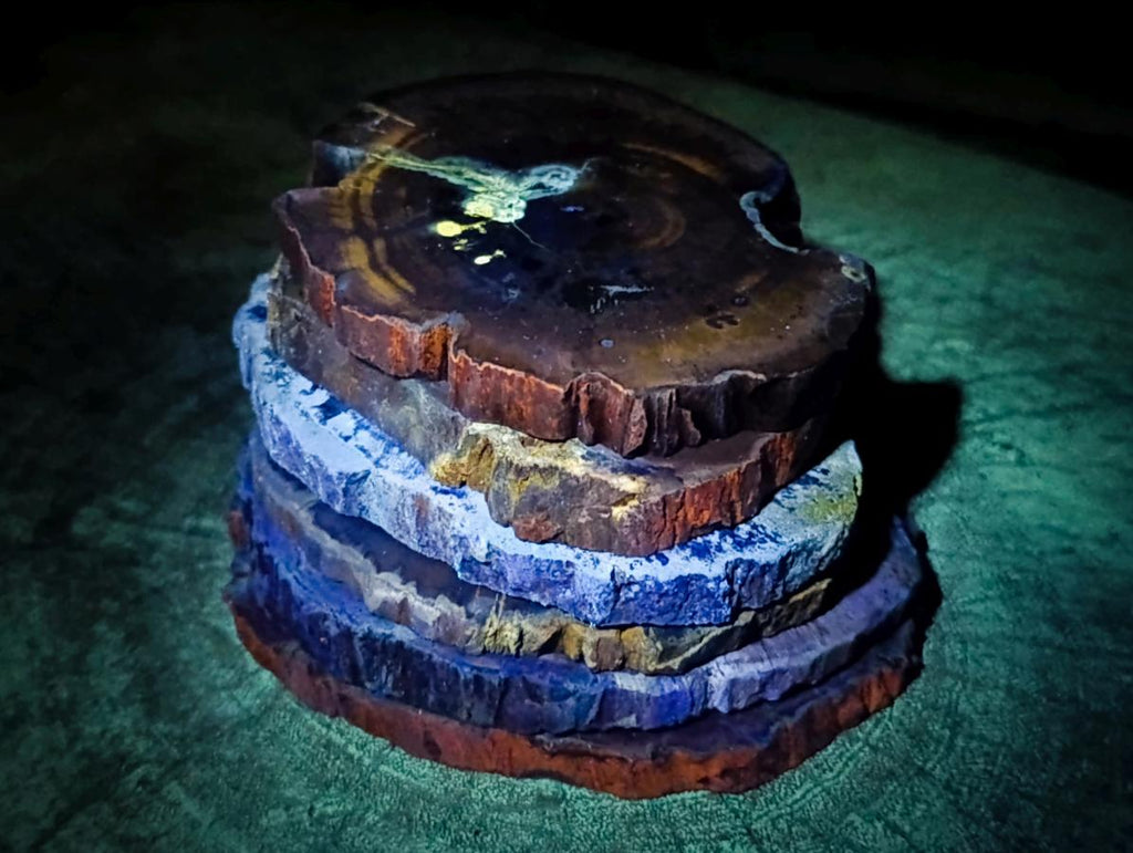 Polished Dadoxylon Petrified Wood Slices x 6 From Gokwe, Zimbabwe - Toprock Gemstones and Minerals 