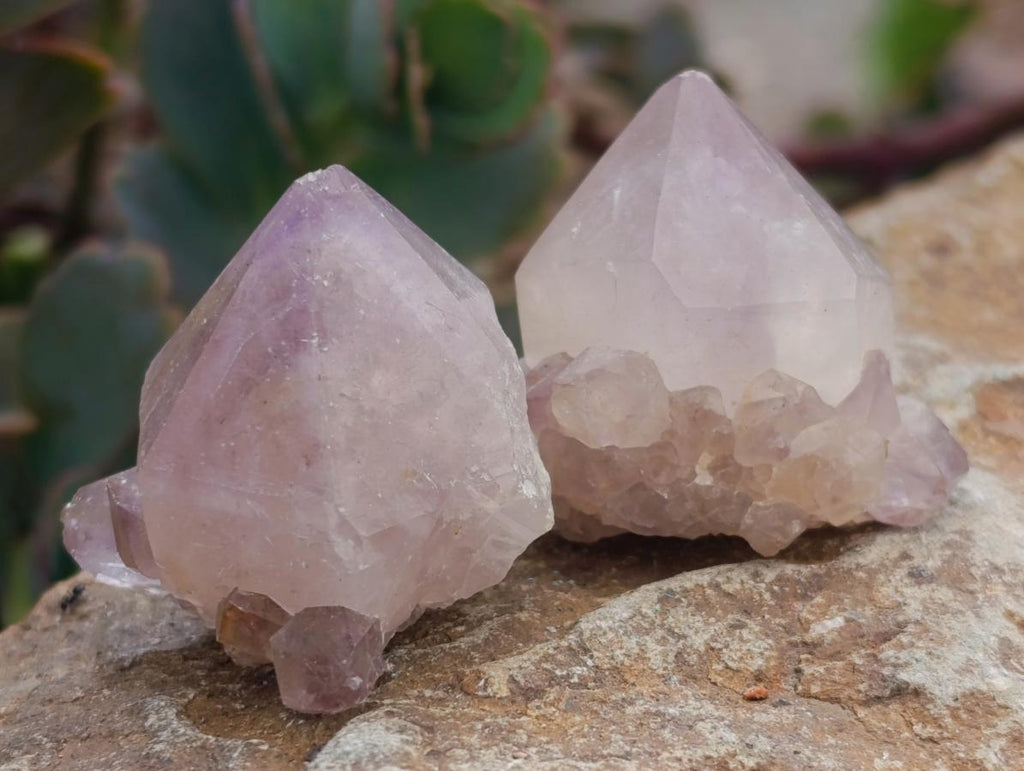 Natural Lilac Sunburst Spirit Quartz Crystals x 70 From Boekenhouthoek, South Africa - Toprock Gemstones and Minerals 