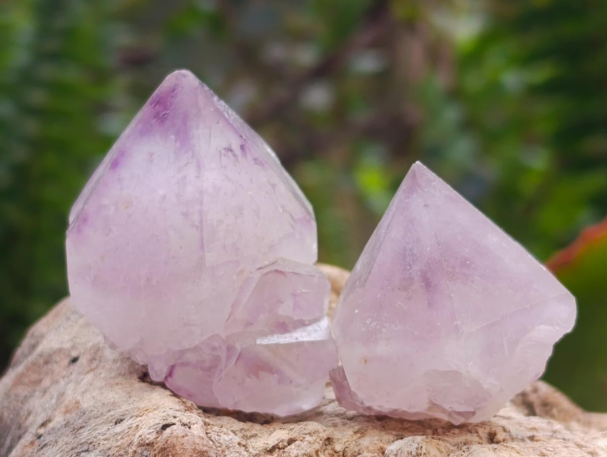 Natural Lilac Sunburst Spirit Quartz Crystals x 70 From Boekenhouthoek, South Africa - Toprock Gemstones and Minerals 