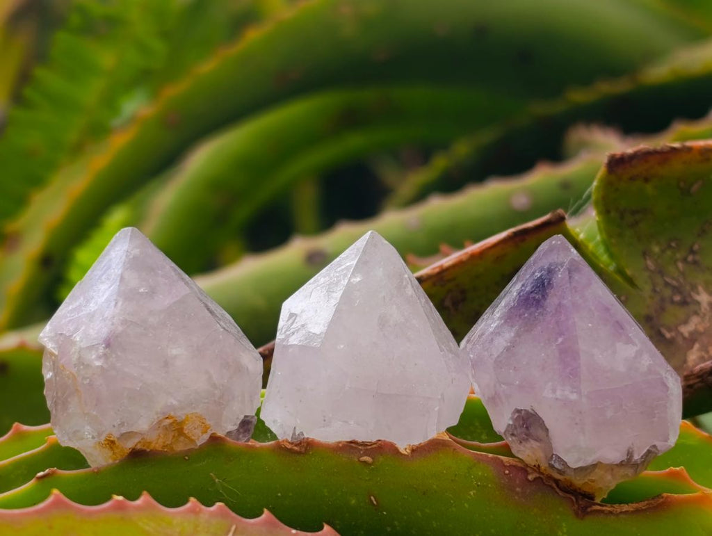 Natural Lilac Sunburst Spirit Quartz Crystals x 70 From Boekenhouthoek, South Africa - Toprock Gemstones and Minerals 