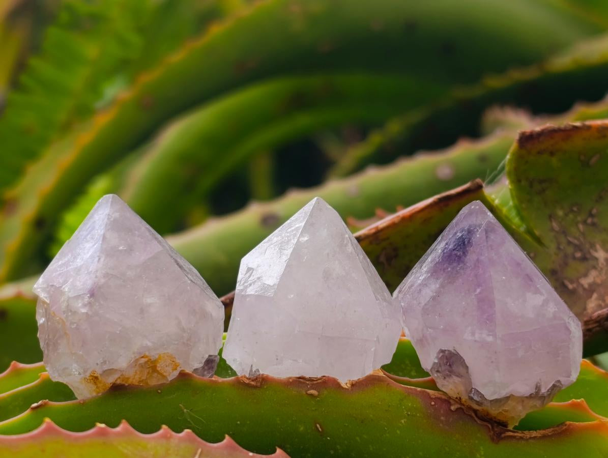 Natural Lilac Sunburst Spirit Quartz Crystals x 70 From Boekenhouthoek, South Africa - Toprock Gemstones and Minerals 