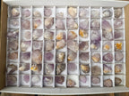 Natural Lilac Sunburst Spirit Quartz Crystals x 70 From Boekenhouthoek, South Africa - Toprock Gemstones and Minerals 