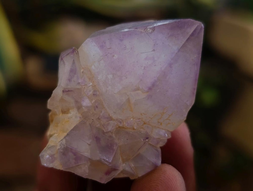 Natural Lilac Sunburst Spirit Quartz Crystals x 70 From Boekenhouthoek, South Africa - Toprock Gemstones and Minerals 